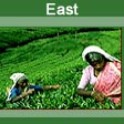 East India Tours Package