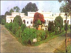 Hotel Maya