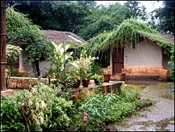 Bandhavgarh Jungle Lodge