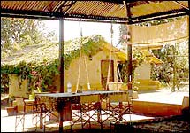 Bandhavgarh Jungle Lodge