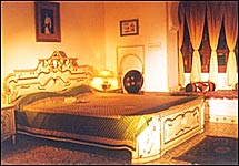 Bassi Fort Palace