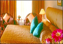 Kakatiya Sheraton & Towers Hotel