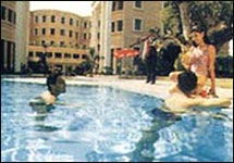 Tulip Manohar Hotel