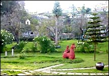 Hotel Kodai International