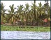 Vembanad Lake