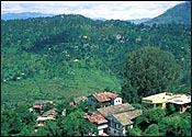 Almora