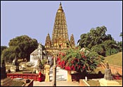 Gaya