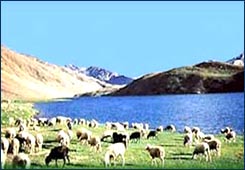 Himachal Pradesh
