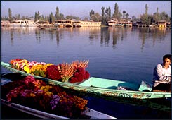 Jammu Kashmir