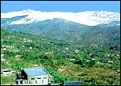 Kangra