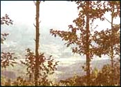 Kausani