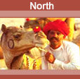 Hotels in Rajasthan